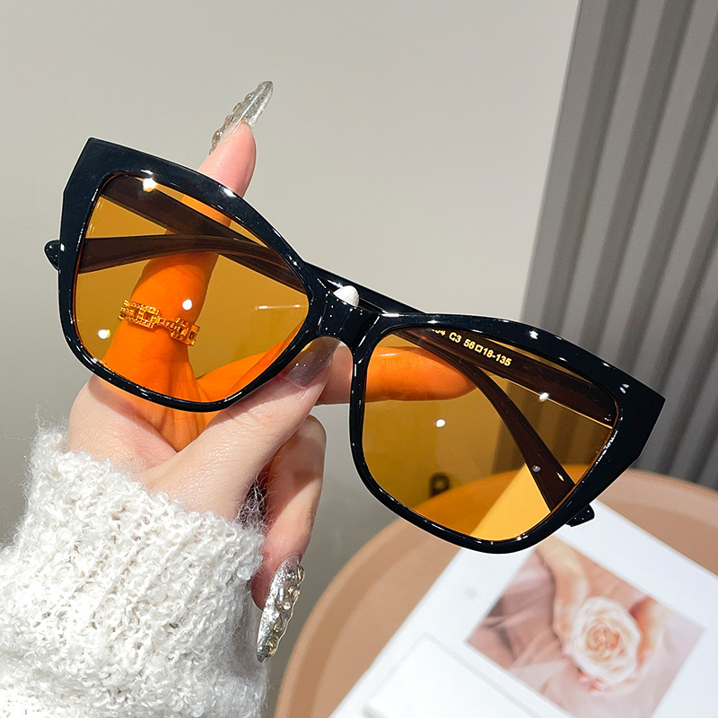 Lunettes de soleil polyvalente - Street Fashion Photography avis et prix